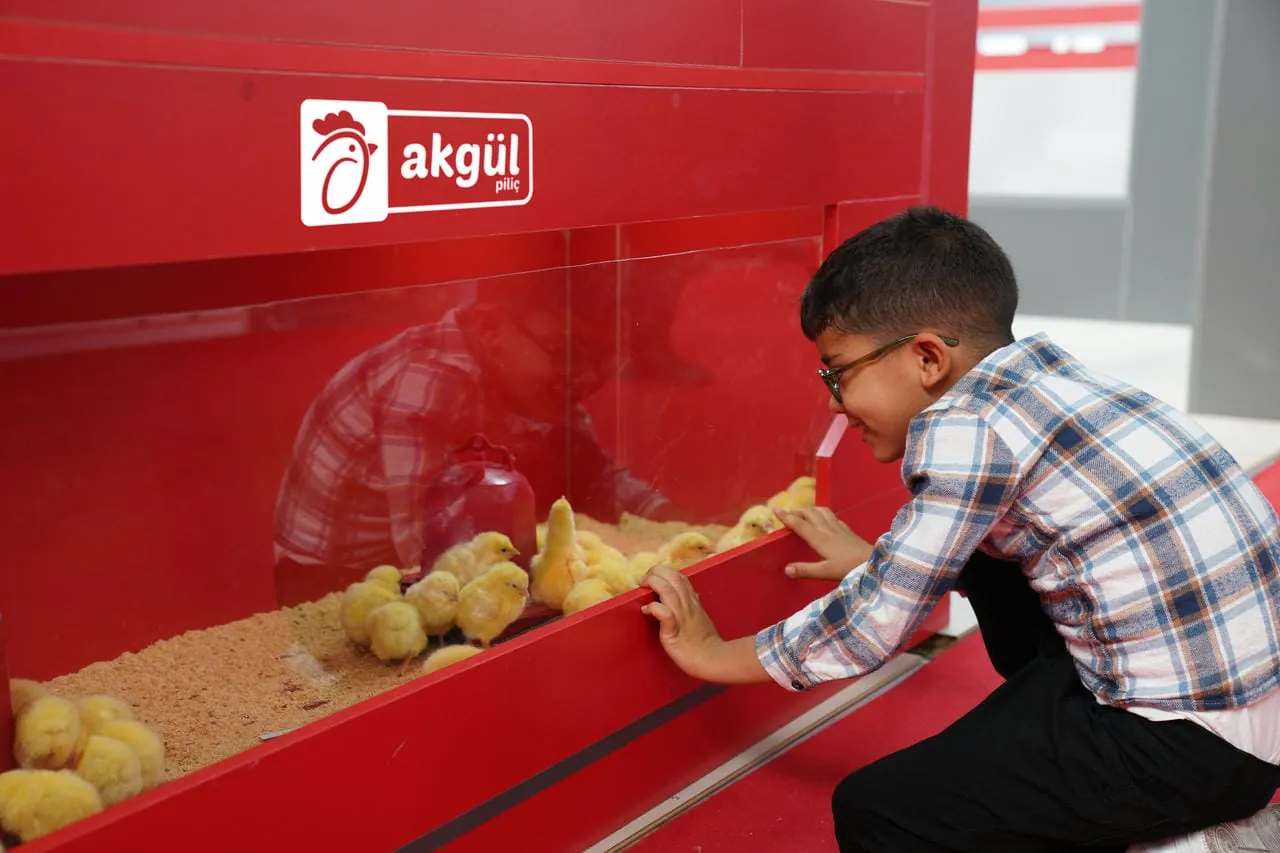 Adana Fair 5
