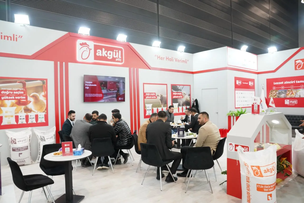 Kayseri 2