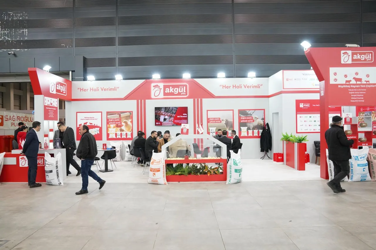 Kayseri 3