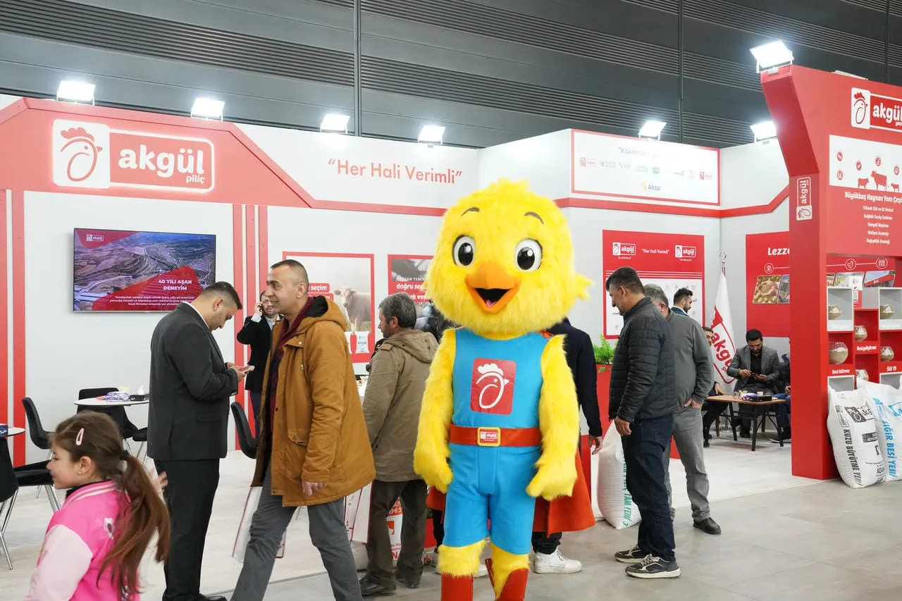 Kayseri 5