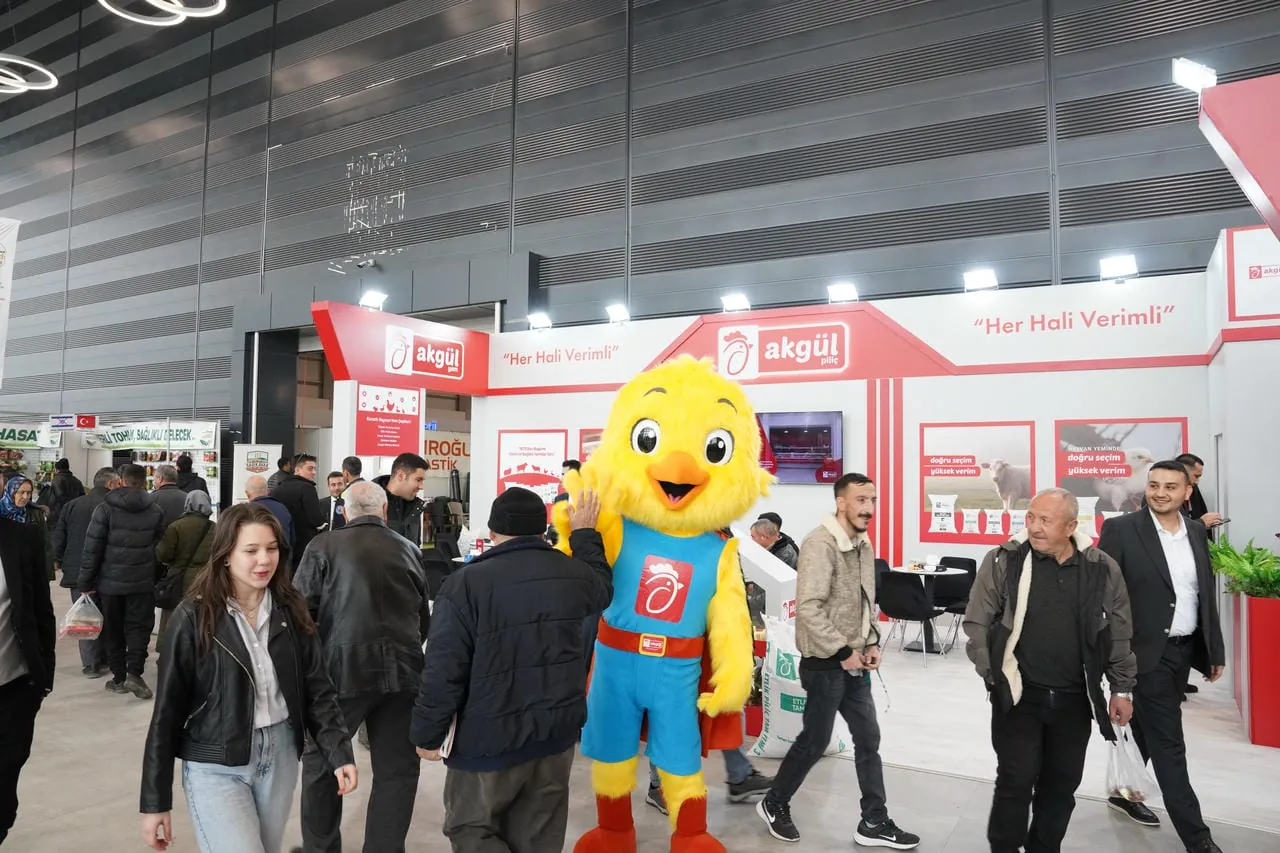 Kayseri 6